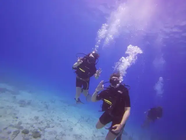 Dive Students